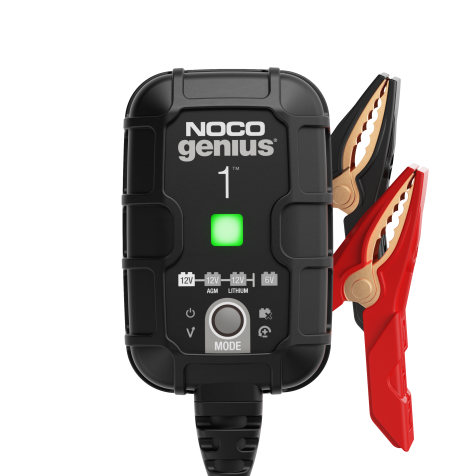 GENIUS1